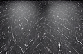 SPC-ламинат StoneWood Блэк Сторм (Black Storm) S-001-01 SPC-ламинат StoneWood Блэк Сторм (Black Storm) S-001-01